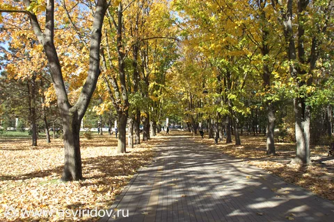 Ботанический сад Краснодара. Золотая осень.
