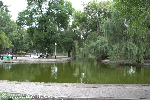 Фото с центрального городского парка Краснодара