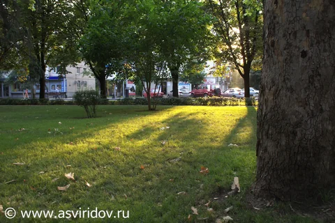 Несколько фото c центра Краснодара