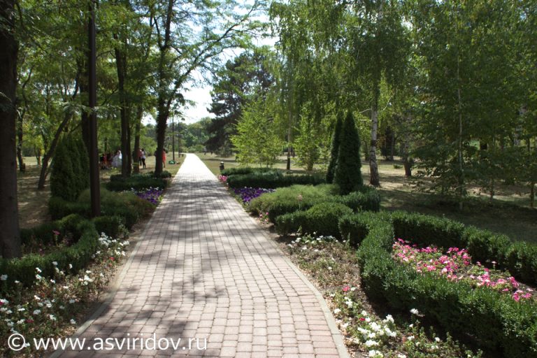 Ботанический сад Краснодара (фото)